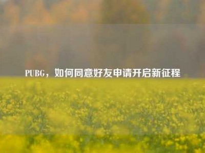 PUBG，如何同意好友申请开启新征程