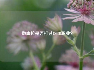 撒库拉是否打过CSGO职业？