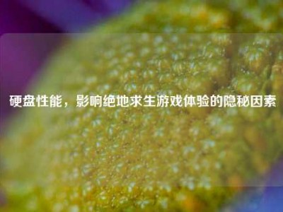 硬盘性能，影响绝地求生游戏体验的隐秘因素