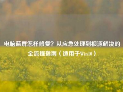 电脑蓝屏怎样修复？从应急处理到根源解决的全流程指南（适用于Win10）
