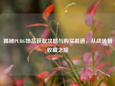 揭秘PUBG饰品获取攻略与购买渠道，从战场到收藏之旅