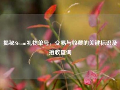 揭秘Steam礼物单号，交易与收藏的关键标识及接收查询