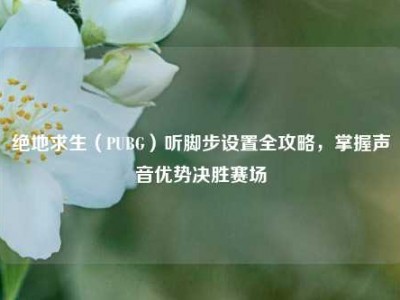 绝地求生（PUBG）听脚步设置全攻略，掌握声音优势决胜赛场
