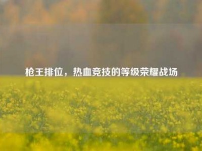 枪王排位，热血竞技的等级荣耀战场