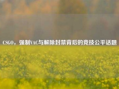 CSGO，强制VAC与解除封禁背后的竞技公平话题