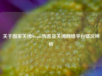 关于国家关闭Steam传言及关闭网络平台情况辨析