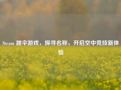 Steam 跳伞游戏，探寻名称，开启空中竞技新体验
