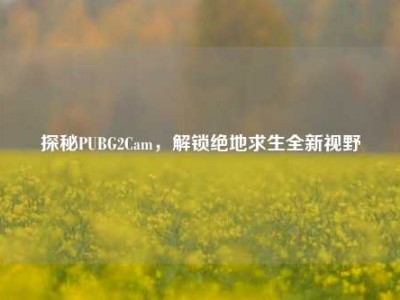 探秘PUBG2Cam，解锁绝地求生全新视野