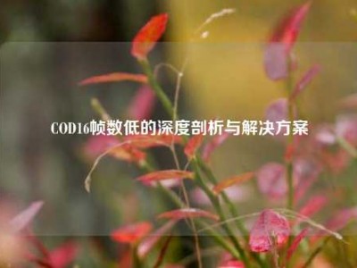COD16帧数低的深度剖析与解决方案