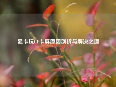 显卡玩CF卡屏原因剖析与解决之道