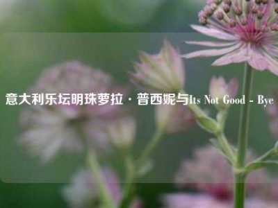 意大利乐坛明珠萝拉·普西妮与Its Not Good - Bye