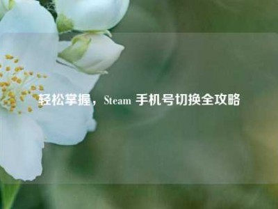 轻松掌握，Steam 手机号切换全攻略