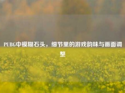 PUBG中模糊石头，细节里的游戏韵味与画面调整