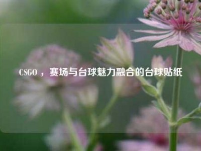 CSGO ，赛场与台球魅力融合的台球贴纸