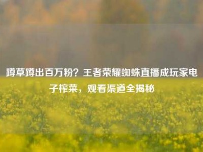蹲草蹲出百万粉？王者荣耀蜘蛛直播成玩家电子榨菜，观看渠道全揭秘