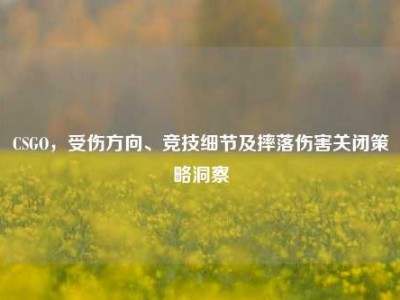 CSGO，受伤方向、竞技细节及摔落伤害关闭策略洞察