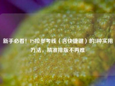 新手必看！PS拉参考线（含快捷键）的3种实用方法，精准排版不再难