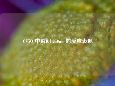 CSGO 中瞬间 250ms 的反应表现