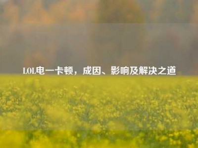 LOL电一卡顿，成因、影响及解决之道