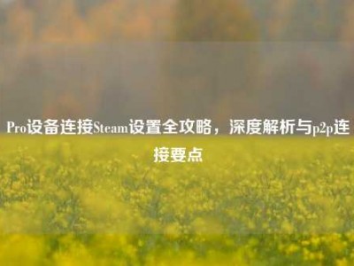 Pro设备连接Steam设置全攻略，深度解析与p2p连接要点