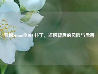 警惕Steam全DLC补丁，盗版背后的风险与危害