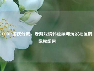 COD16游侠分流，老游戏情怀延续与玩家社区的隐秘纽带