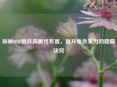 探秘DNF婚房满属性布置，提升角色实力的隐藏诀窍