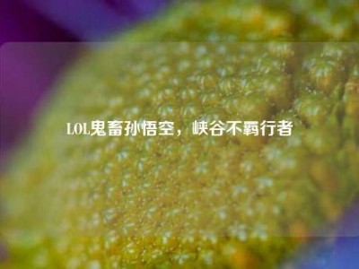 LOL鬼畜孙悟空，峡谷不羁行者