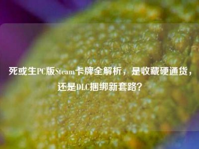 死或生PC版Steam卡牌全解析，是收藏硬通货，还是DLC捆绑新套路？