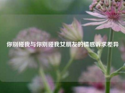 你别碰我与你别碰我女朋友的情感诉求差异