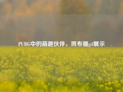 PUBG中的萌趣伙伴，斑布猫gif展示