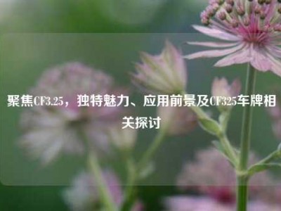 聚焦CF3.25，独特魅力、应用前景及CF325车牌相关探讨