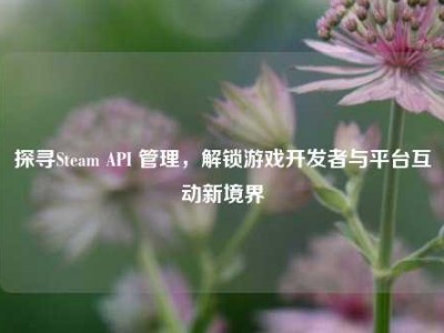 探寻Steam API 管理，解锁游戏开发者与平台互动新境界