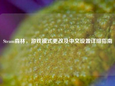 Steam森林，游戏模式更改及中文设置详细指南