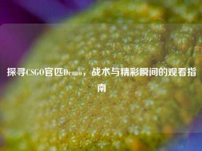 探寻CSGO官匹Demo，战术与精彩瞬间的观看指南