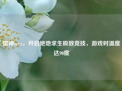 雷神zero，开启绝地求生极致竞技，游戏时温度达90度