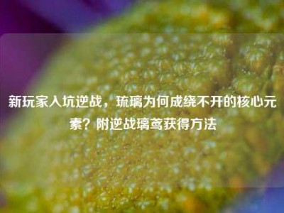 新玩家入坑逆战，琉璃为何成绕不开的核心元素？附逆战璃鸢获得方法