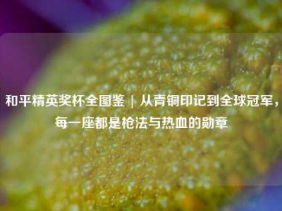 和平精英奖杯全图鉴 | 从青铜印记到全球冠军，每一座都是枪法与热血的勋章
