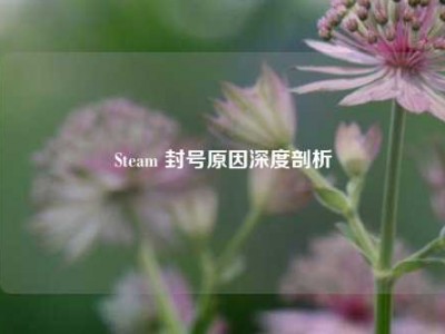 Steam 封号原因深度剖析