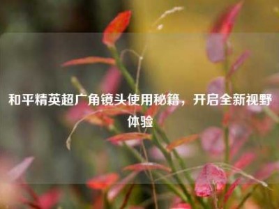 和平精英超广角镜头使用秘籍，开启全新视野体验