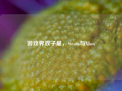 游戏界双子星，Steam与Xbox