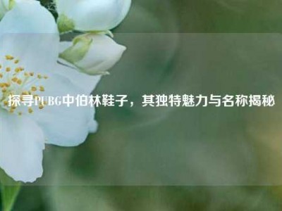 探寻PUBG中伯林鞋子，其独特魅力与名称揭秘