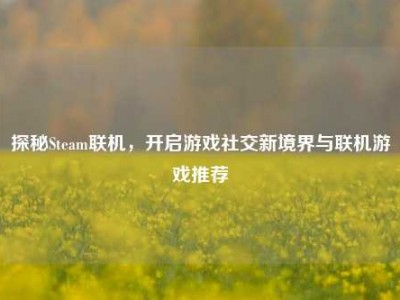 探秘Steam联机，开启游戏社交新境界与联机游戏推荐