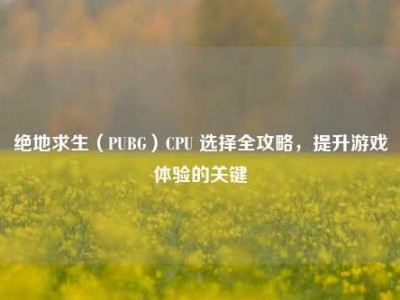 绝地求生（PUBG）CPU 选择全攻略，提升游戏体验的关键