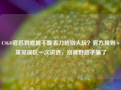 CSGO官匹到底能不能丢刀给别人玩？官方规则+常见误区一次讲透，别被野路子骗了