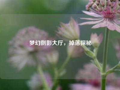 梦幻倒影大厅，掉落探秘