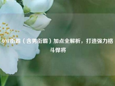 DNF街霸（含男街霸）加点全解析，打造强力格斗悍将