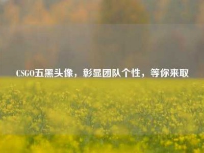 CSGO五黑头像，彰显团队个性，等你来取