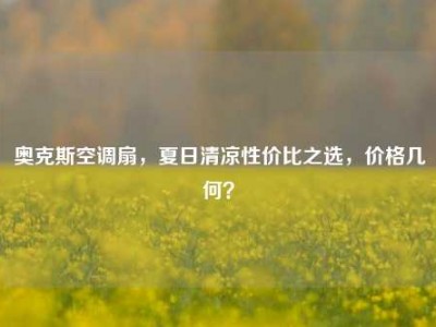 奥克斯空调扇，夏日清凉性价比之选，价格几何？