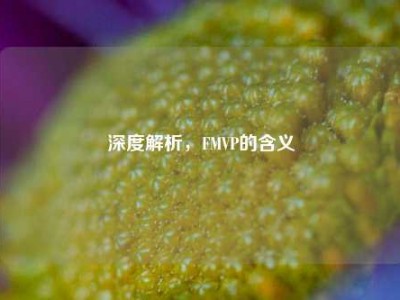 深度解析，FMVP的含义